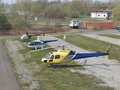 D-HIIX