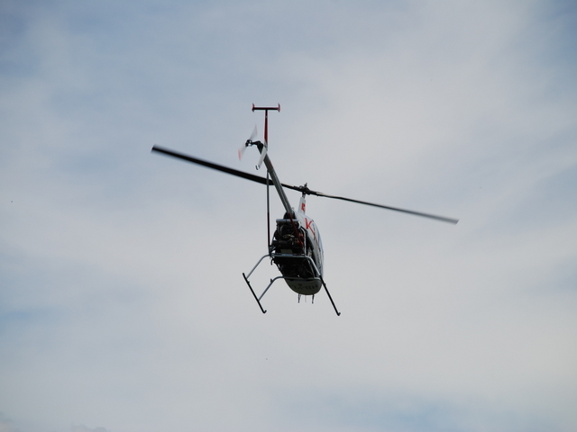 HB-YLF