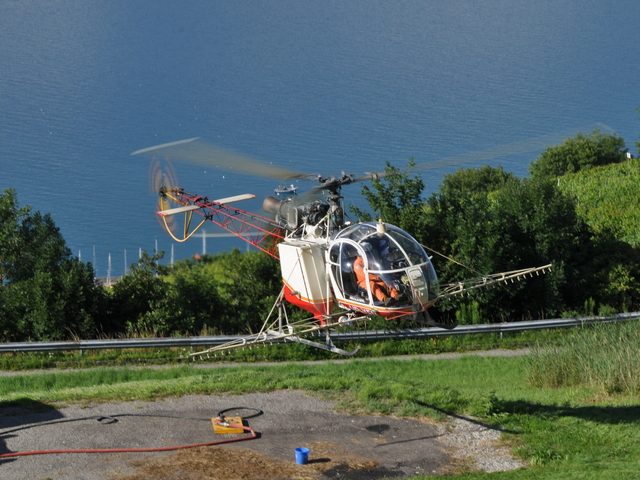 HB-XEO