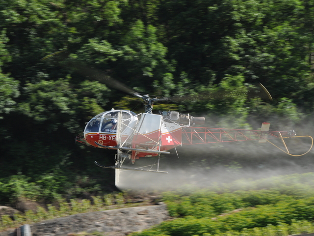 HB-XEO