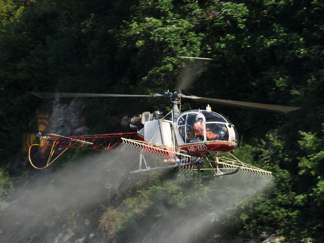 HB-XEO
