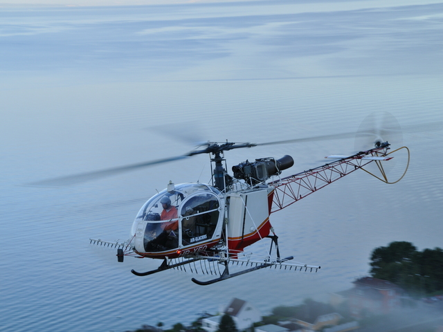 HB-XEO
