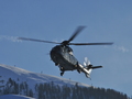 D-HEGA