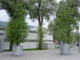dsc01347.jpg
