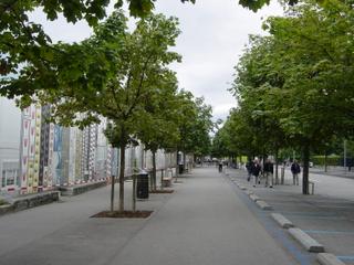 dsc00380.jpg