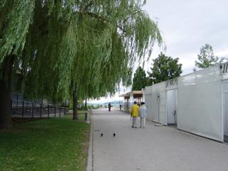 dsc00386.jpg