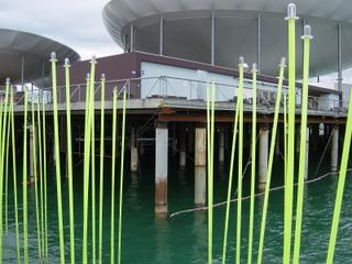 dsc00389.jpg