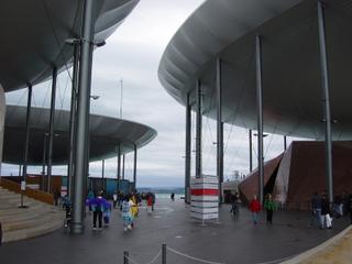 dsc00393.jpg