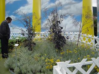 dsc00402.jpg