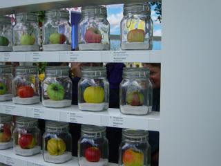 dsc00405.jpg