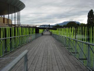 dsc00460.jpg