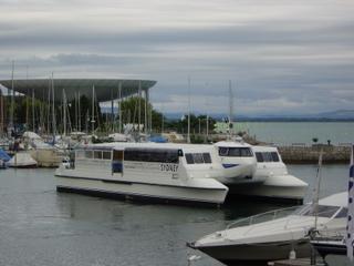 dsc00490.jpg
