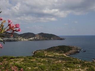 dsc01419.jpg