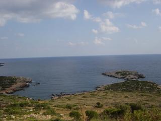 dsc01420.jpg
