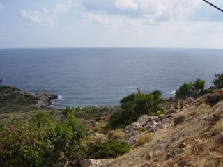 dsc01421.jpg