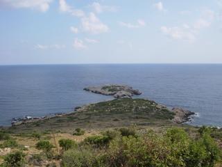 dsc01422.jpg