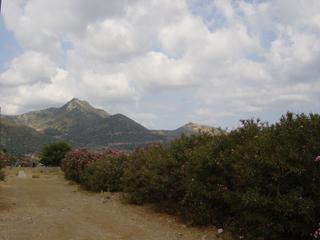 dsc01424.jpg