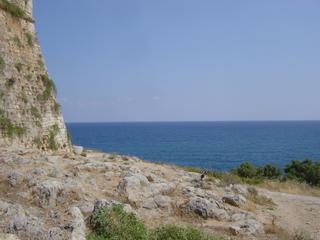 dsc01435.jpg