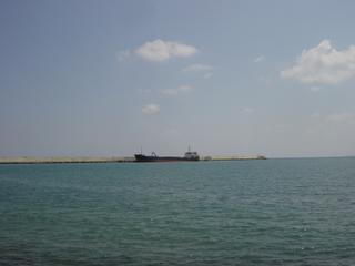 dsc01441.jpg