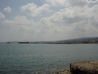 dsc01442.jpg