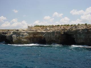 dsc01460.jpg
