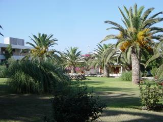 dsc01484.jpg