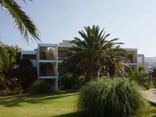 dsc01486.jpg