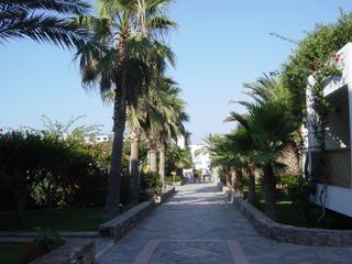 dsc01488.jpg