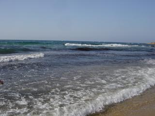 dsc01493.jpg
