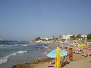 dsc01494.jpg