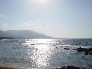 dsc01506.jpg