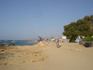 dsc01508.jpg