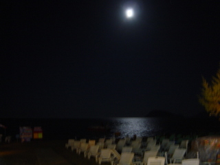 dsc05994.jpg