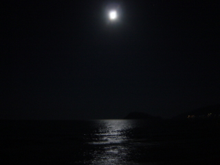 dsc05995.jpg