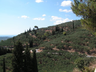 pict0007.jpg