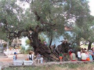 pict0015.jpg