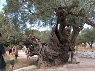 pict0016.jpg