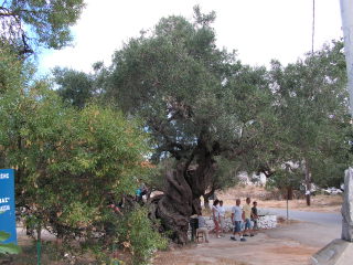 pict0022.jpg