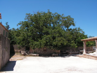 pict0059.jpg