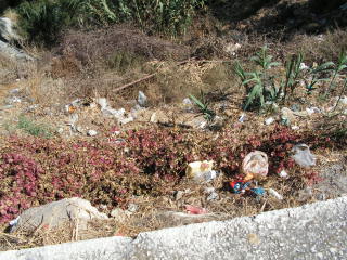 pict0083.jpg