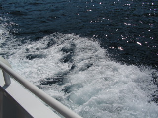 pict0152.jpg
