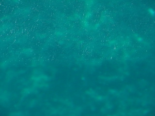 pict0278.jpg