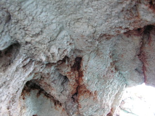 pict0280.jpg