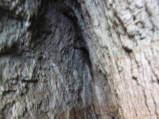 pict0287.jpg