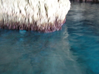 pict0288.jpg