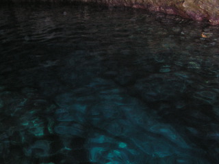 pict0290.jpg