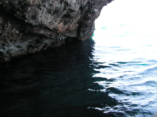 pict0294.jpg