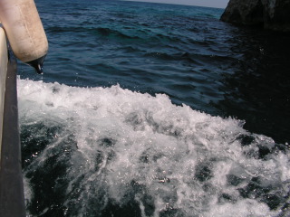 pict0300.jpg