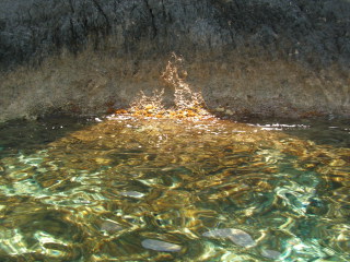 pict0303.jpg