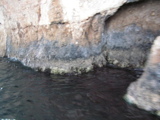 pict0311.jpg